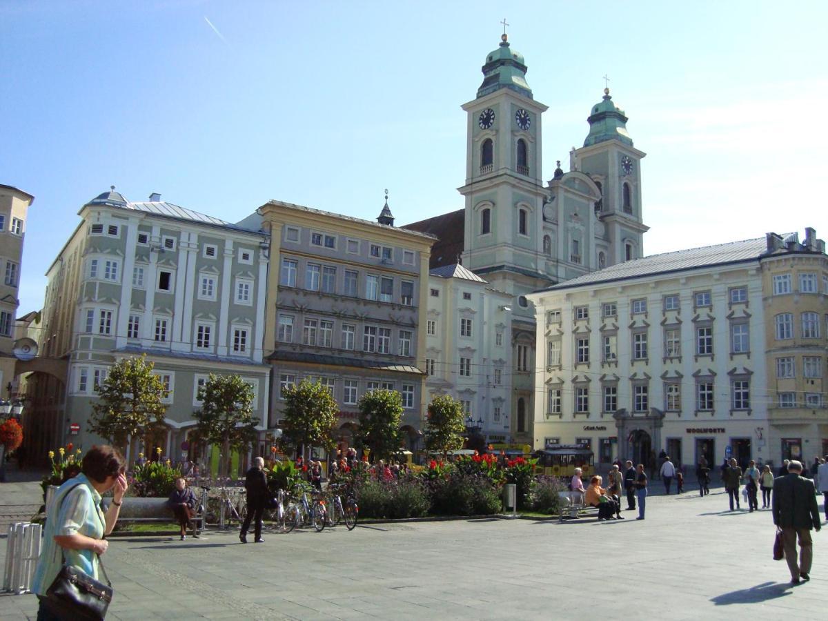 Buena Vista Privatunterkunft